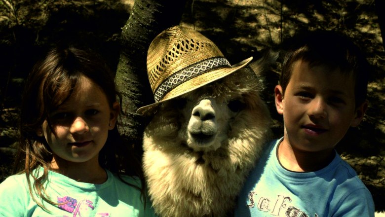 Two children pose with a baby alpaca wearing a straw hat.