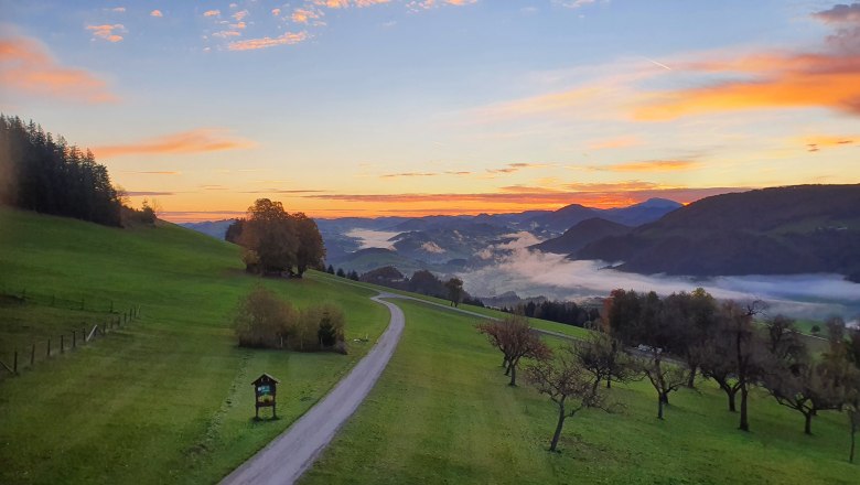 Morning mood, &copy; Melanie Schweighuber