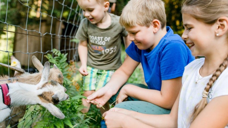 Vacation at the Zwergerlhof, © schwarz-koenig.at