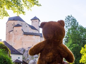 Teddybaerentrai Rappottenstein, &copy; Martin Lugmayr, waldsoft