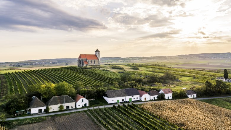 wine cellar lane Wartberg, © Weinviertel Tourismus/Robert Herbst