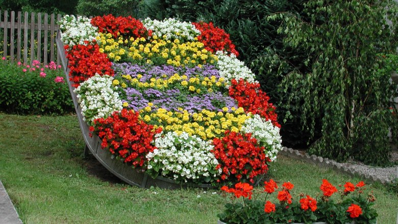 A flower bed in the shape of a coat of arms with colorful flowers.