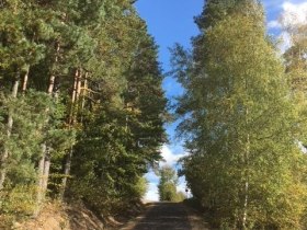 Warzensteinweg, &copy; Marktgemeinde St. Martin