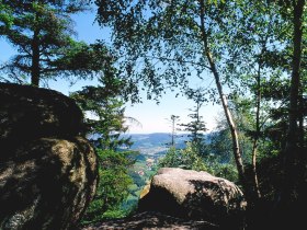 Panoramaweg - Gutenbrunn, © Waldviertel Tourismus