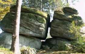 Two large, moss-covered rocks in the forest.