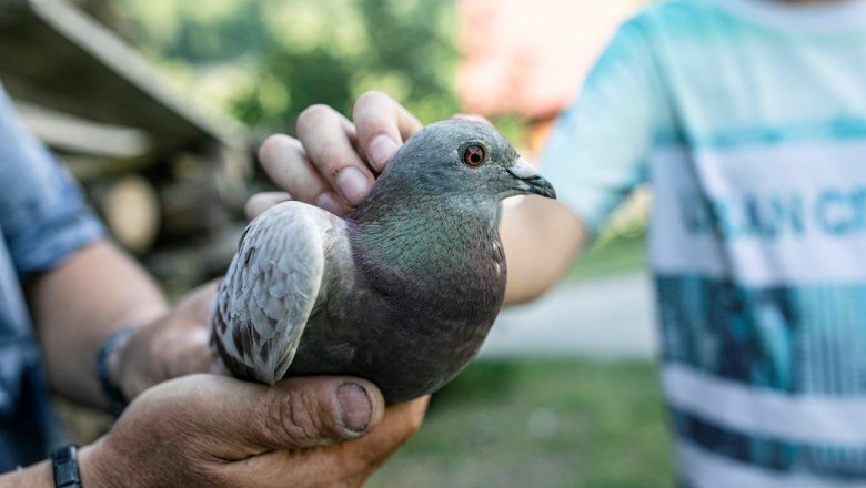 Vacation at the Zwergerlhof, © schwarz-koenig.at