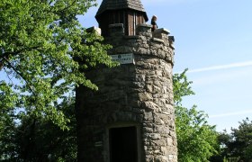 Stone observation tower with a pointed roof, surrounded by trees, under a clear sky.