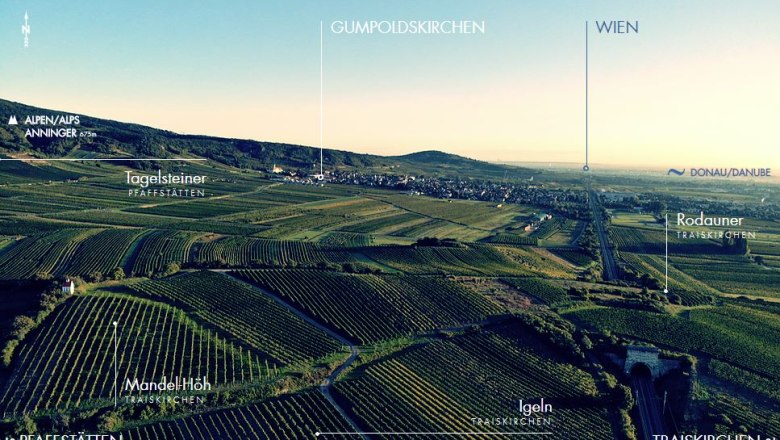 Reed map, &copy; Weingut Stadlmann