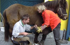 A farrier and a woman are working on a horse's hooves in front of a blue door.