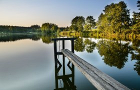 flea-pond-summer2015-klaus-winkelbauerx, &copy; copyright Klaus Winkelbauer