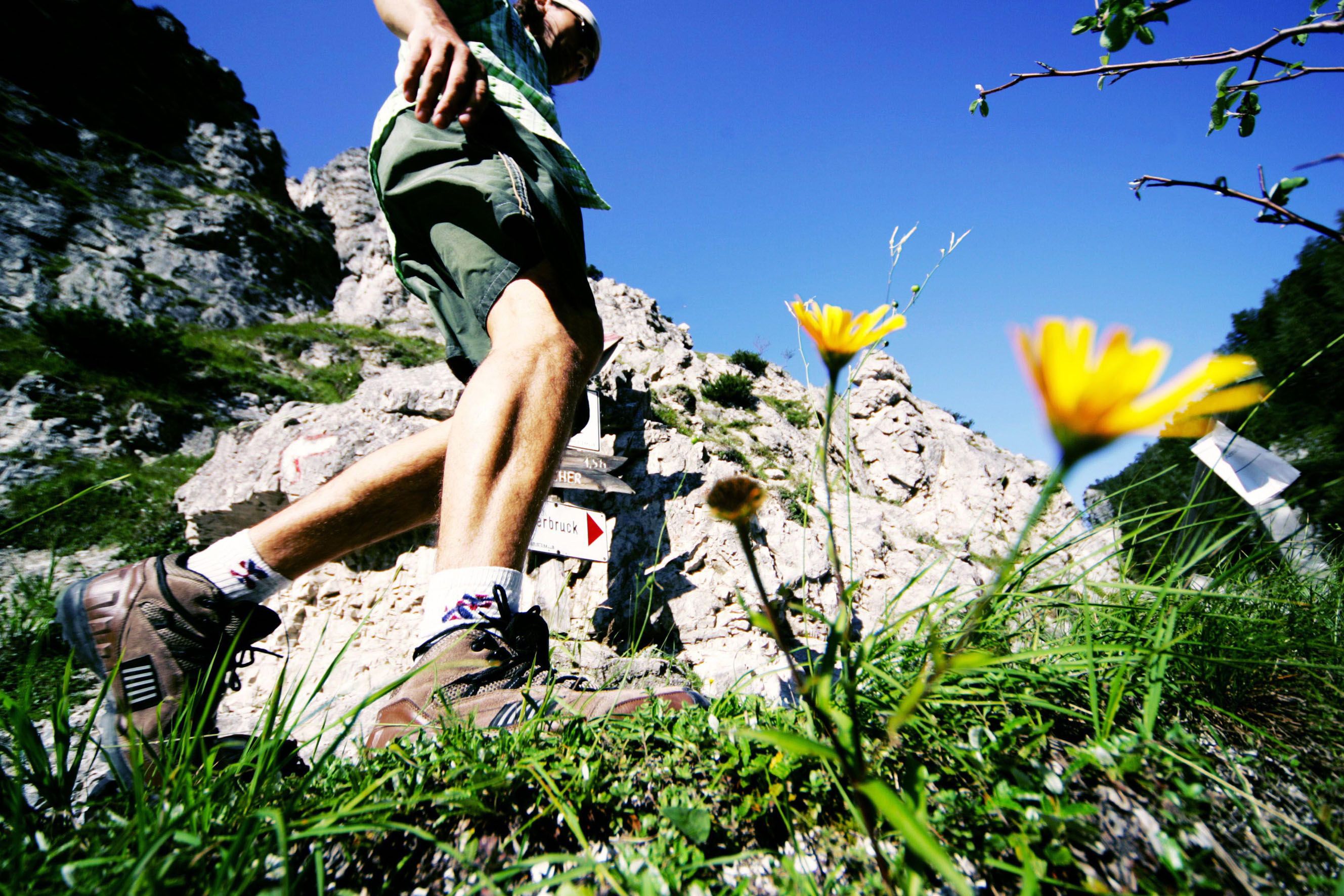 Close-up of a hiker in the Ötschergräben with yellow flowers in the foreground.