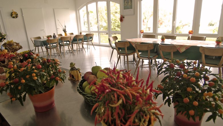 A bright room with large windows, decorated with plants and bowls of fruit on a table.