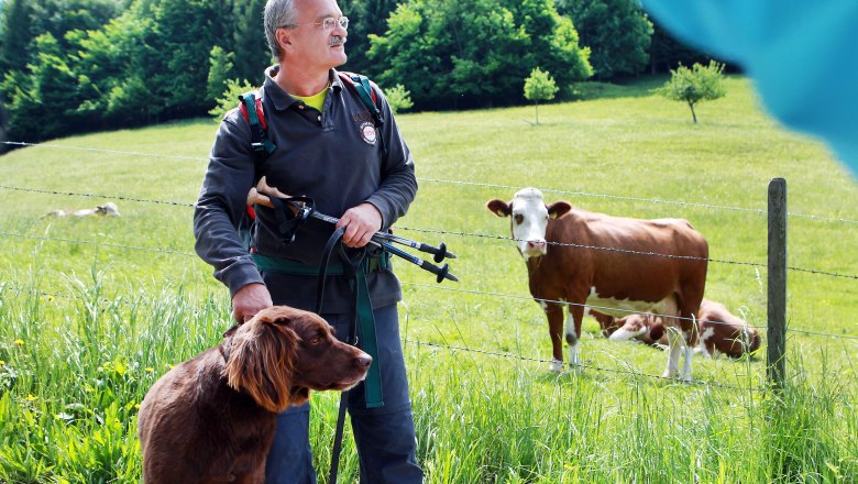 A man with a dog and walking sticks stands in front of a pasture with cows.