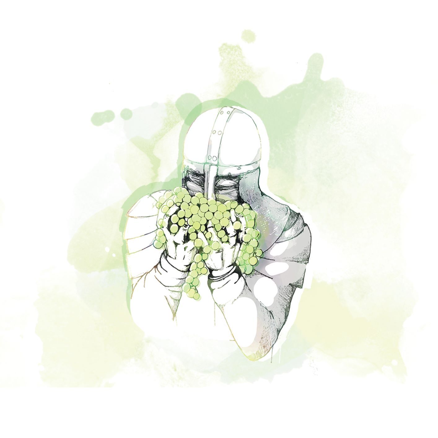 Illustration of a knight holding green grapes.