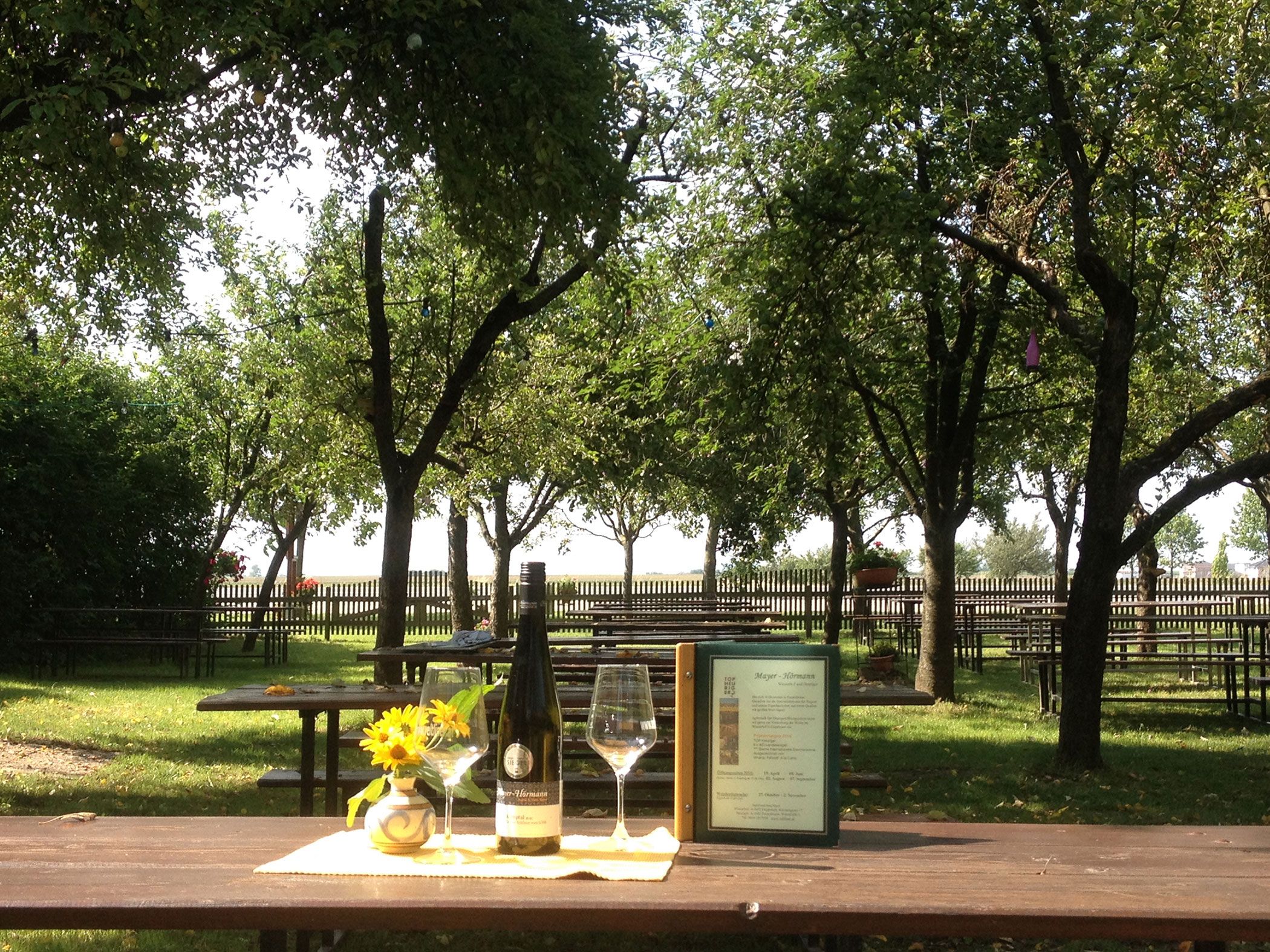 A guest garden with wooden tables, trees and a bottle of wine on a table.