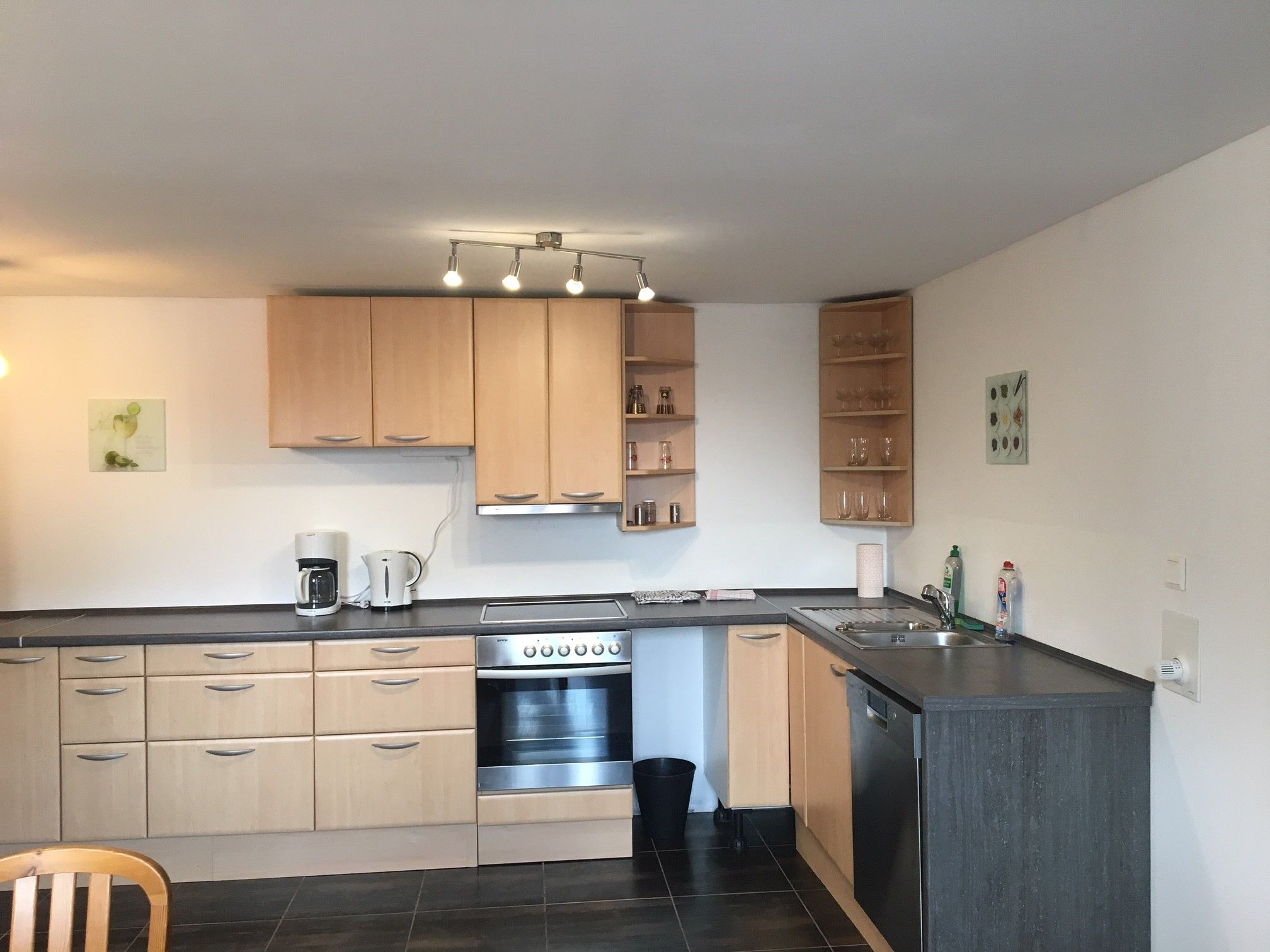Kitchen unit with electrical appliances 