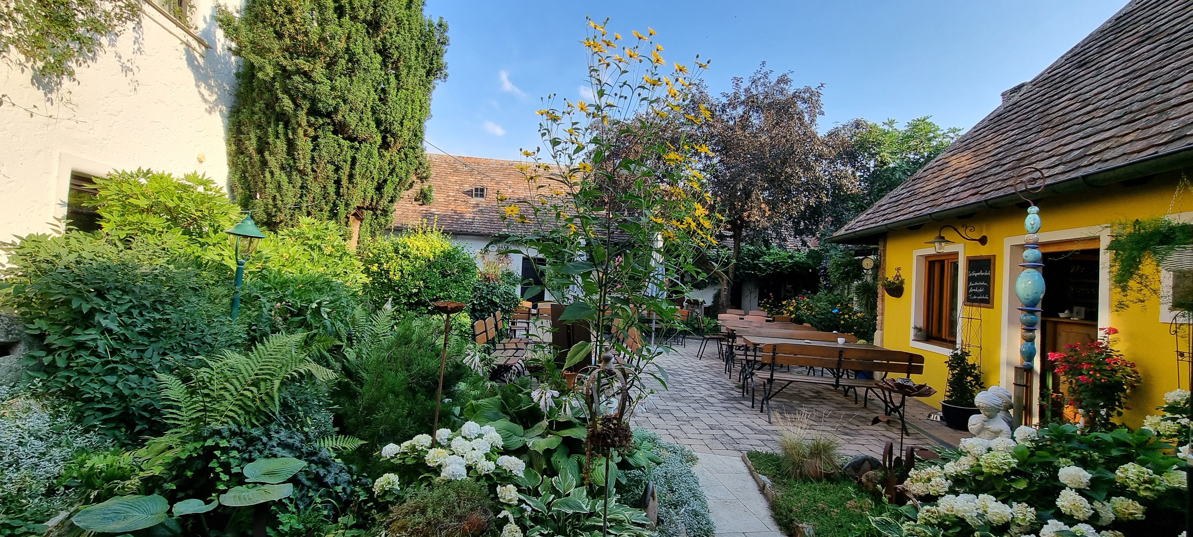 A cozy garden with a yellow building, wooden benches and lush vegetation under a blue sky.