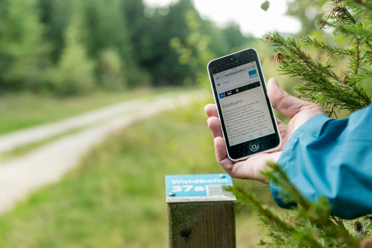 Person holds smartphone in the forest, displays information about the forest railroad.