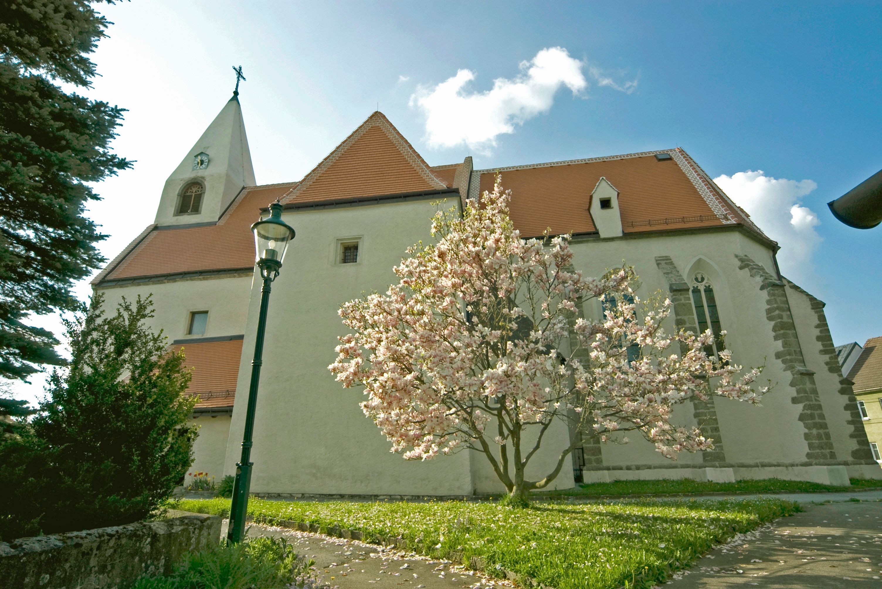 Parish church Maria Himmelfahrt with blossoming tree in the foreground.