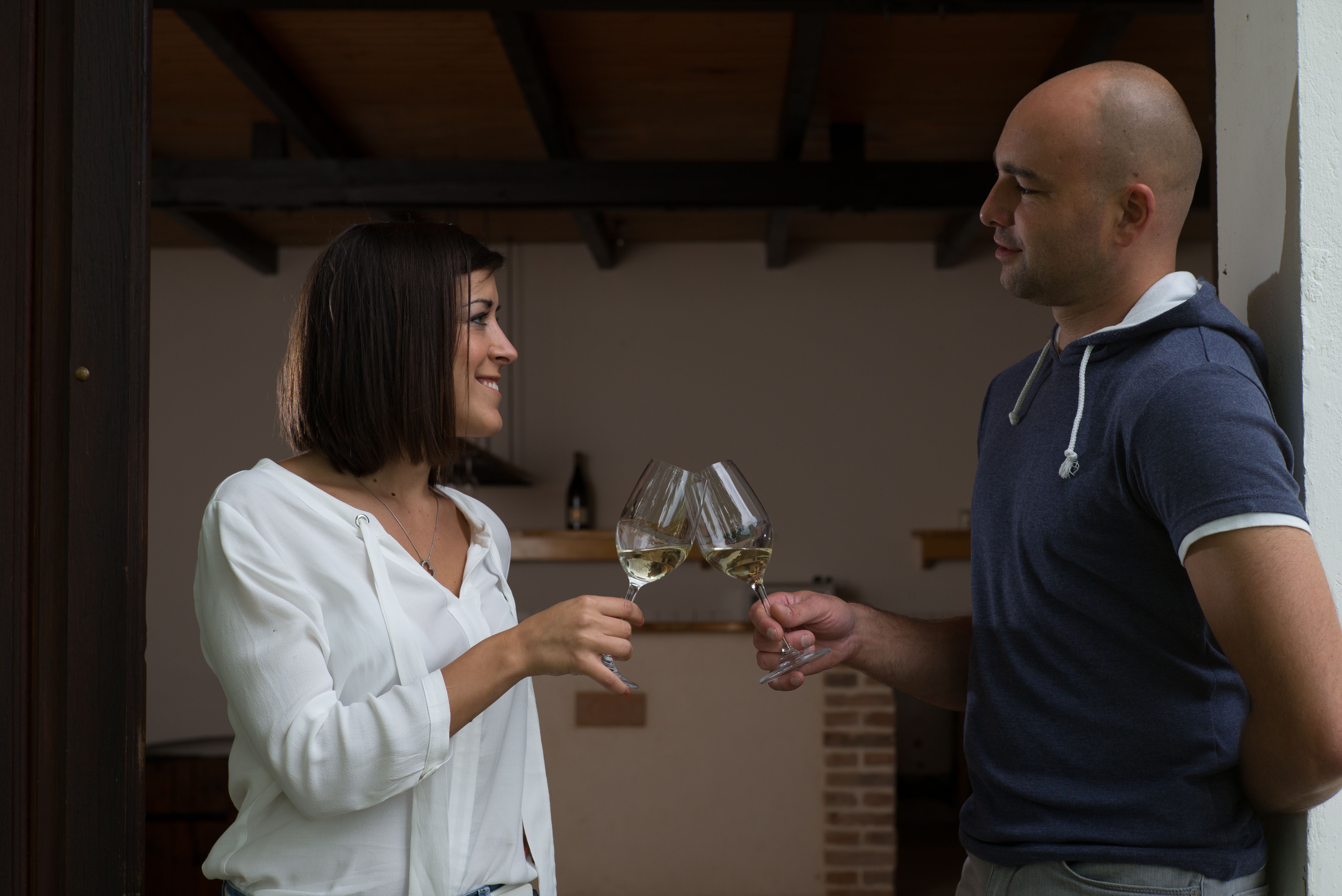 Two people clink glasses of wine.