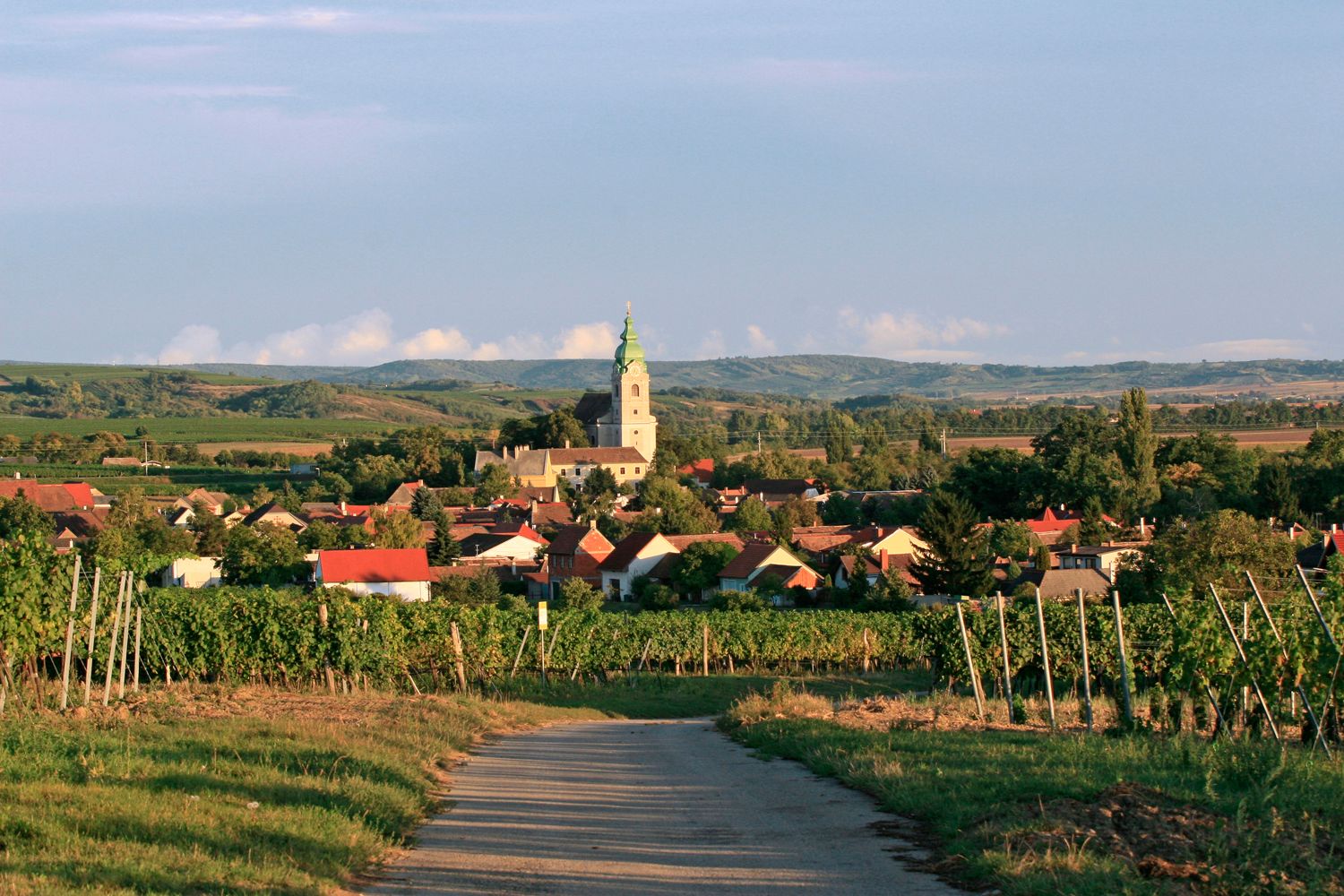 View of the village of Unterretzbach with the church and vineyards in the foreground.