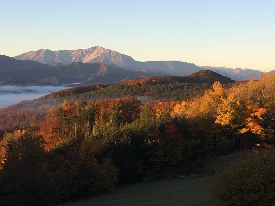 Autumn landscape with colorful trees and mountains in the background at sunrise.