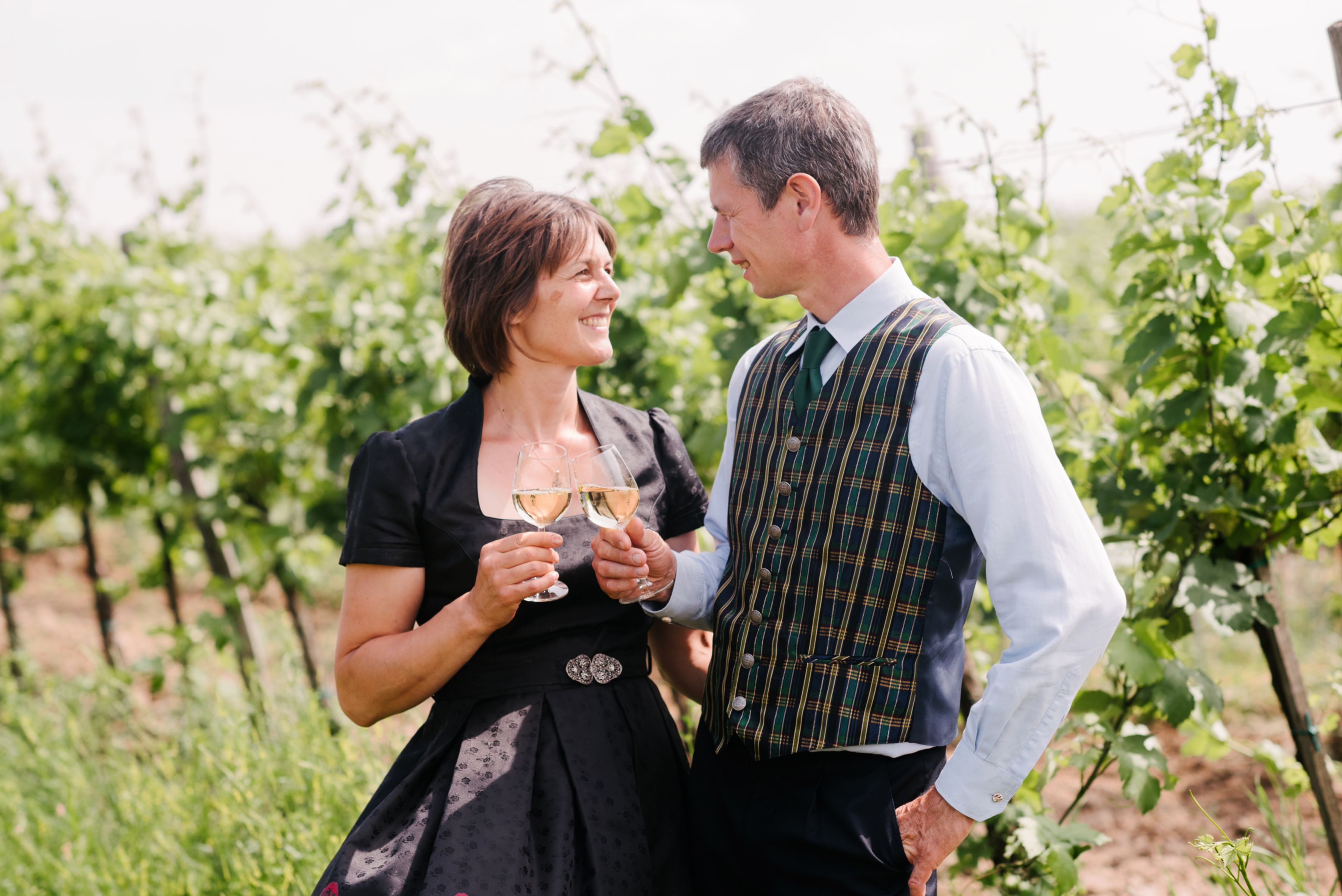 A couple is standing in a vineyard and clinking glasses of wine.