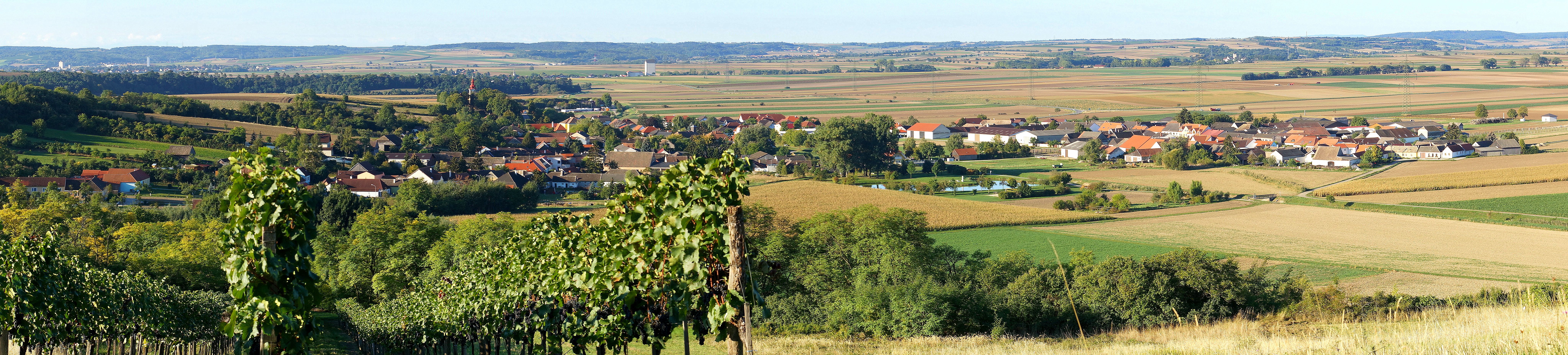 Panorama of a village with fields and vineyards in the foreground.