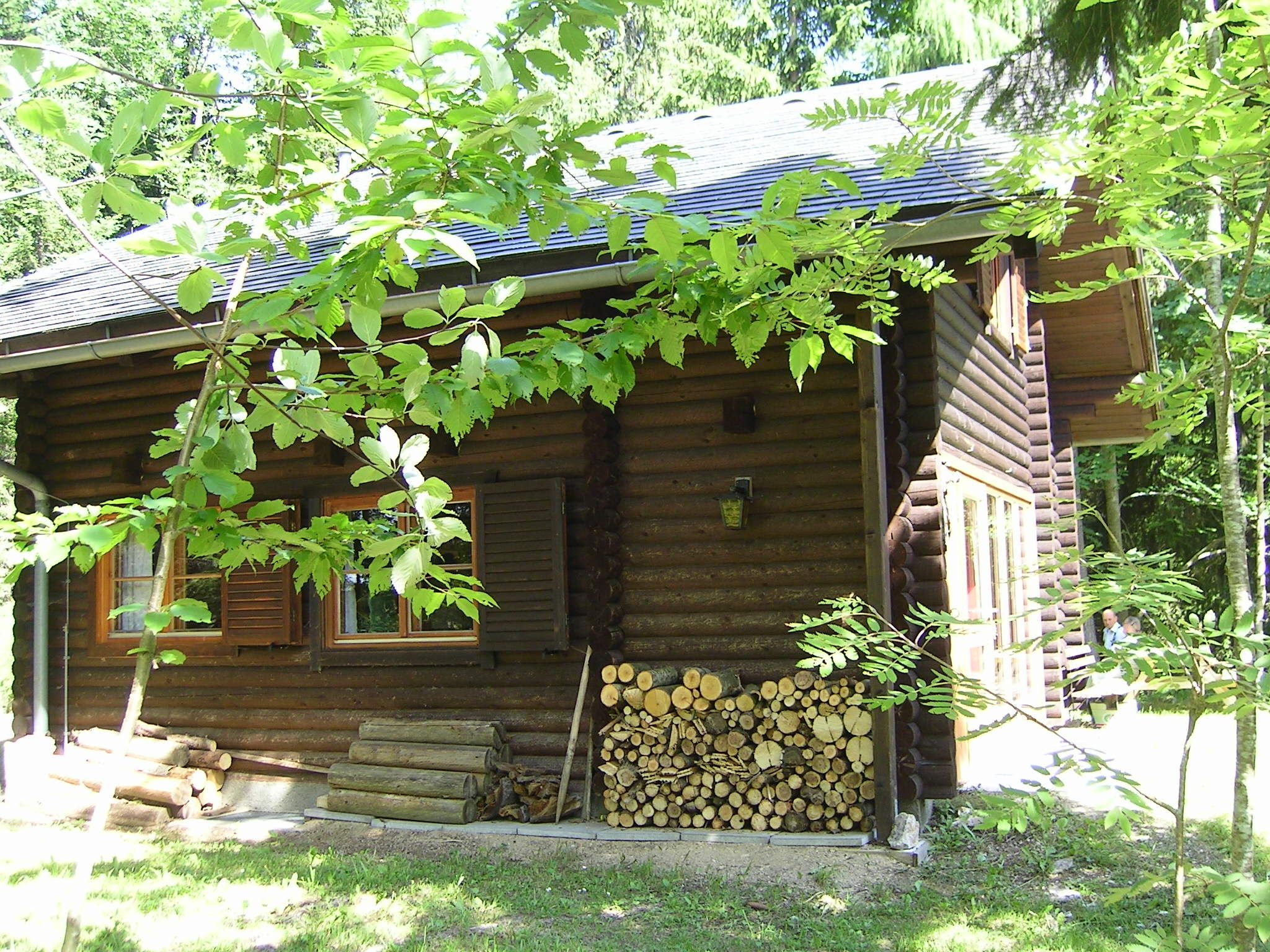Log cabin in the forest with a pile of wood and green leaves in the foreground.