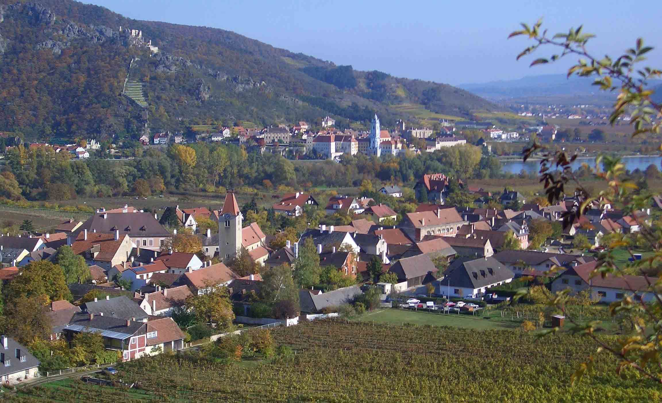 Panorama of a picturesque town with vineyards and a river in the background.