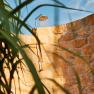 Outdoor shower in the garden, &copy; Apartments Vineyard19