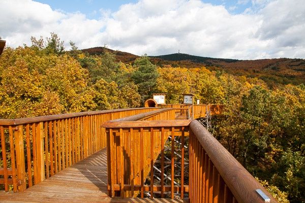 Althodis treetop walk