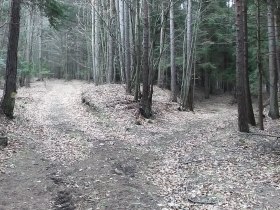 Weggabel 2, &copy; Wiener Alpen in Nieder&ouml;sterreich - Schneeberg Hohe Wand