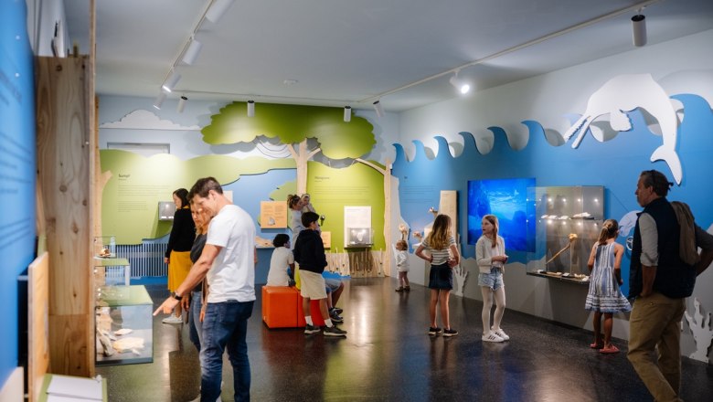 People look at exhibits in a museum with colorful walls and fossils.