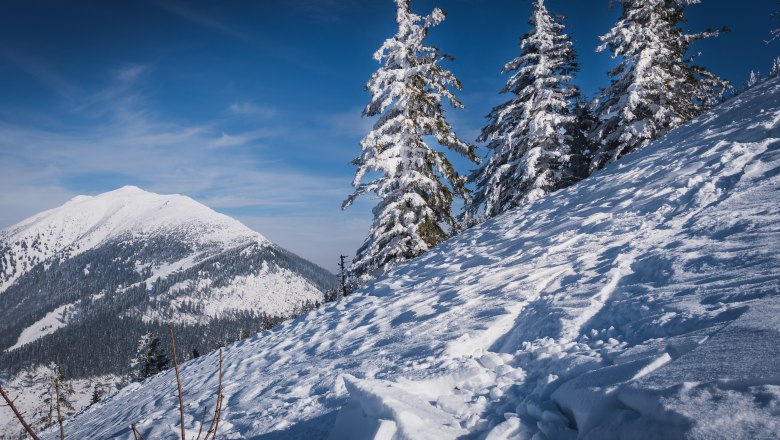 Winter mood, © Gerald Demolsky