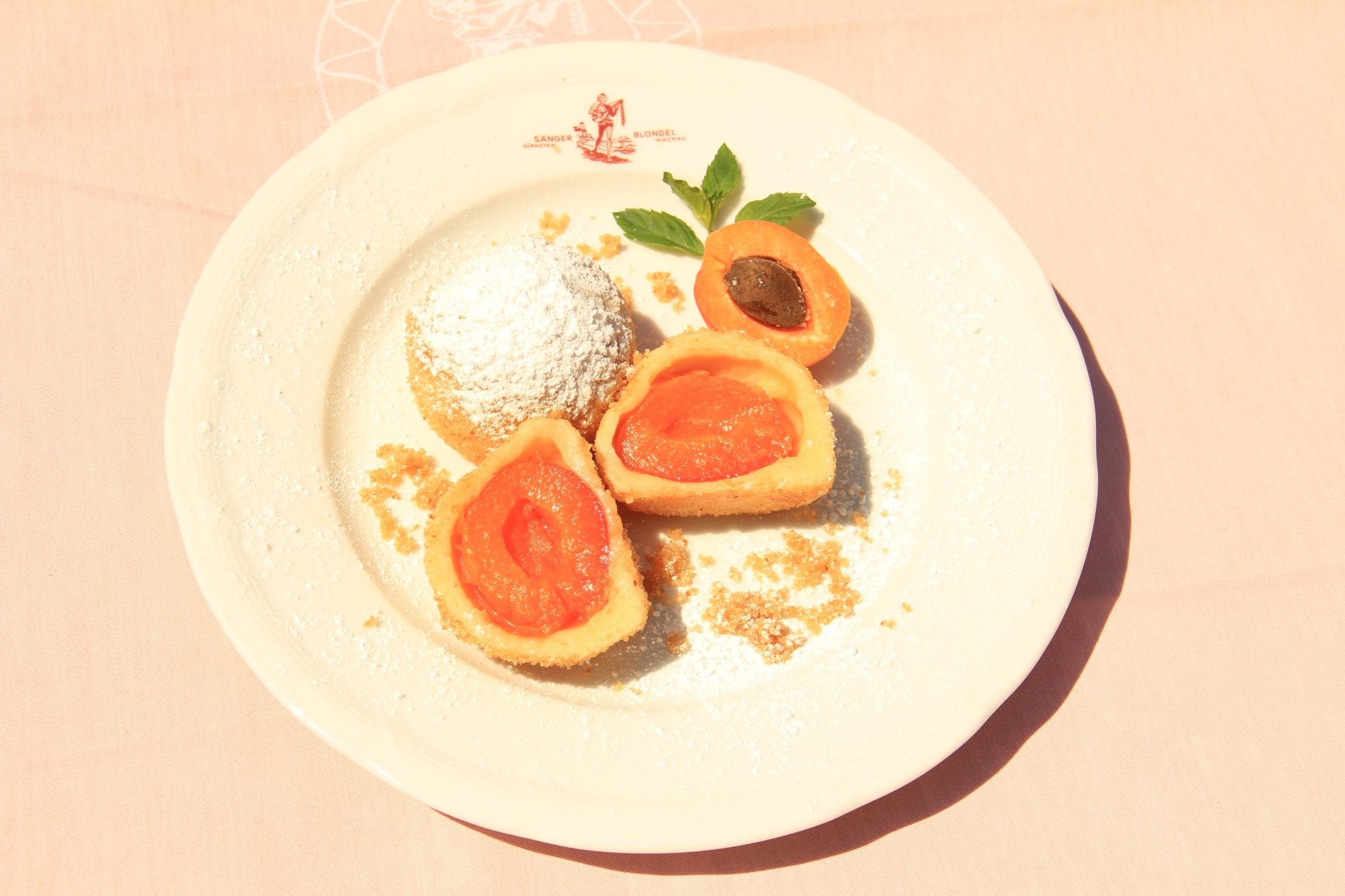 A plate with apricot dumplings, apricot halves and mint leaves, sprinkled with powdered sugar.