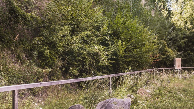 Theme trail, © Daniela Matejschek