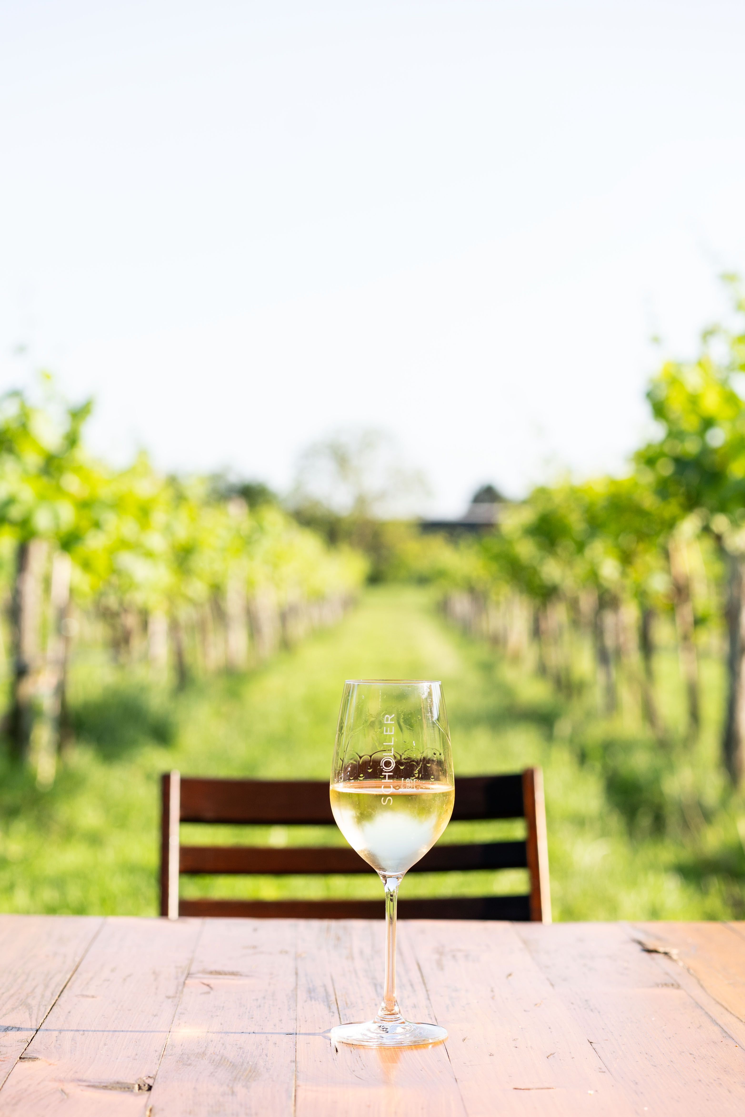 Wine glass in the middle of the vineyards