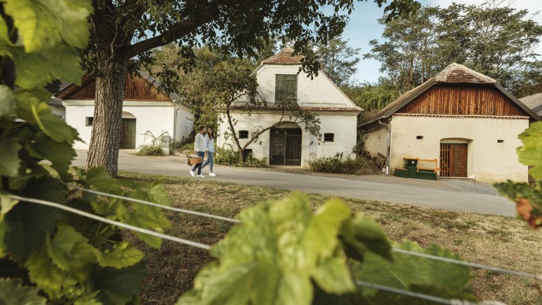 Two people walk past traditional wine cellars surrounded by green vines with a picnic basket.