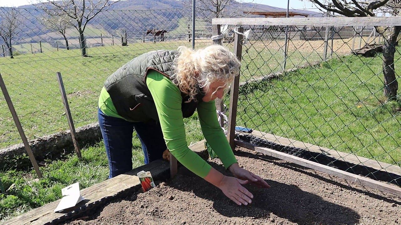 Let's plant delicious vegetables in the raised bed