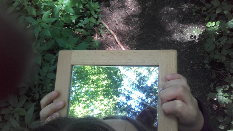 The beauty of the forest., © Elisabeth Winkler