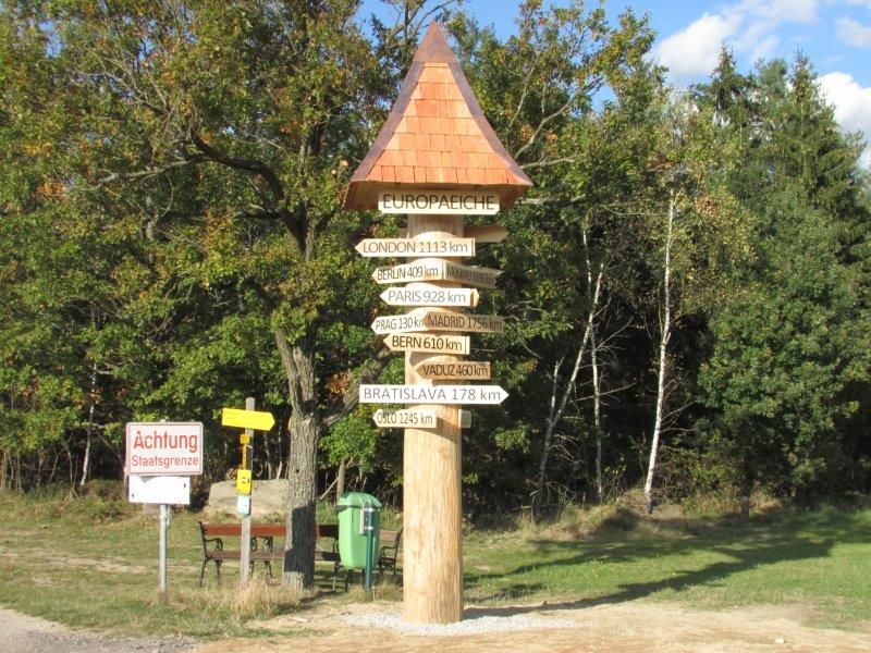 European oak