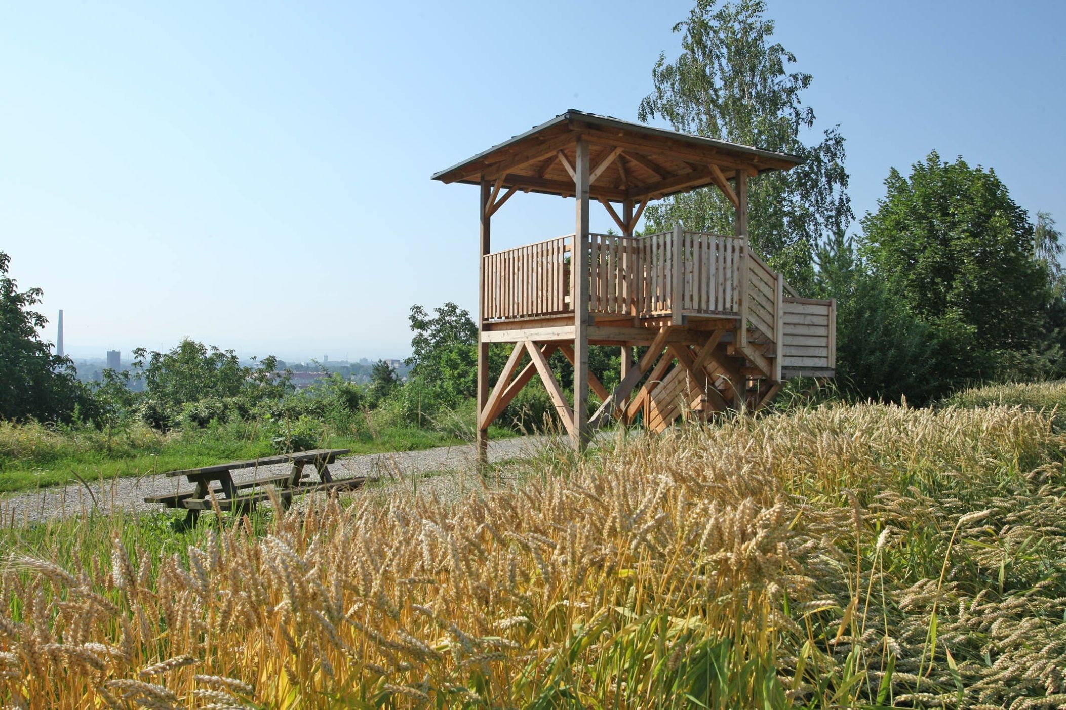 Panorama trail Krembserberg