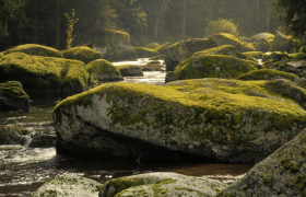 River with moss-covered rocks in the Kamp Valley ("Kamptal" in German).