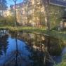 Pannonica, Wolfsthal, garden pond in spring