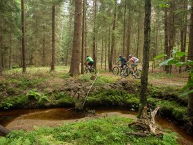 MTB Waldviertel, &copy; &copy; Waldviertel Tourismus, Erwin Haiden, nyx.at