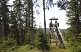 High moor Gro&szlig;e Haide observation tower, &copy; Reinhard Nieder