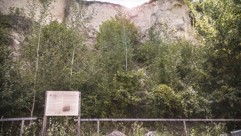 Information board on the theme trail, © Daniela Matejschek