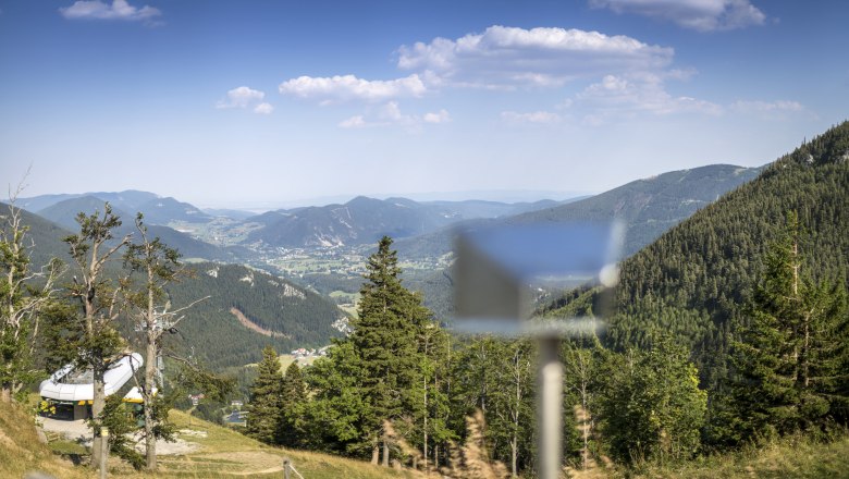 View from the Edelweißhütte to the Schneeberg with green forests and mountains in the background.