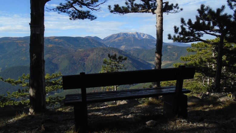 View of the Schneeberg through trees with a bench in the foreground.